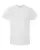 17902_f_fl.webp
