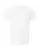 17927_f_fl.webp