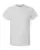 17985_f_fl.webp