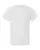 18023_f_fl.webp