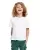 182536.webp