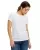 182613.webp