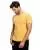 182766.webp