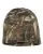 183894.webp