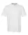 184323.webp