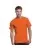 18505.webp
