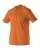 185362.webp