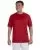 18589.webp