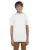 18617.webp