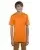 18624.webp