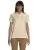 18856.webp