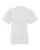 193913.webp