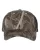 194331.webp