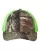 194337.webp