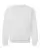 19557_f_fl.webp