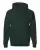 19709_f_fl.webp