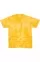198113.webp