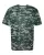 199808.webp