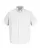 202074.webp