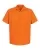 203313.webp
