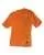 204314.webp
