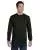 20446.webp