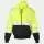 206556.webp