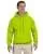 20793.webp