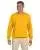 20808.webp