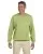20822.webp