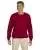 20825.webp