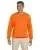 20826.webp