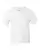 20830_f_fl.webp