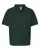 20909_f_fl.webp