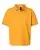 20910_f_fl.webp