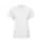 209307.webp