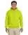 20933.webp
