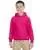 20943.webp