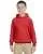 20951.webp