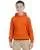 20958.webp