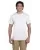 21100.webp
