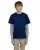 21136.webp