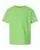 21151_f_fl.webp