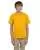 21152.webp