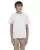 21159.webp