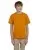 21160.webp
