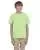 21166.webp