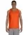 21213.webp