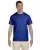 21217.webp