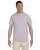 21225.webp